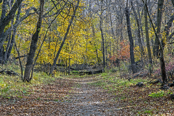 Beaudry Park 5