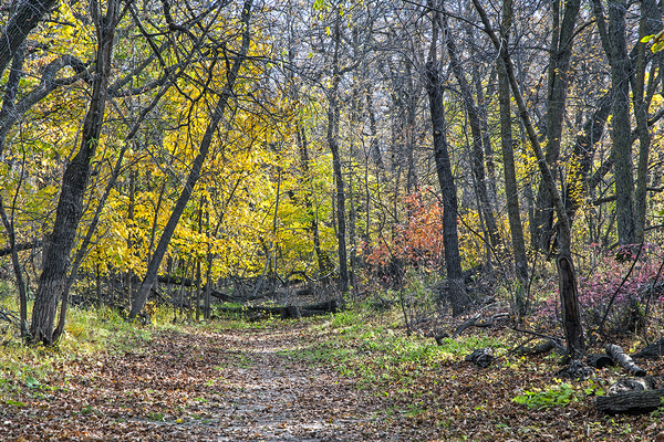 Beaudry Park 6