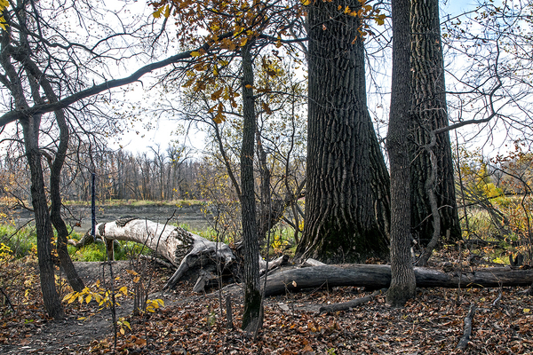 Beaudry Park 7