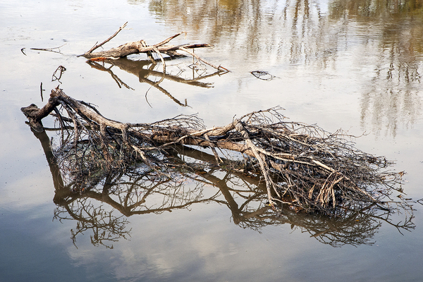 Beaudry Park 8