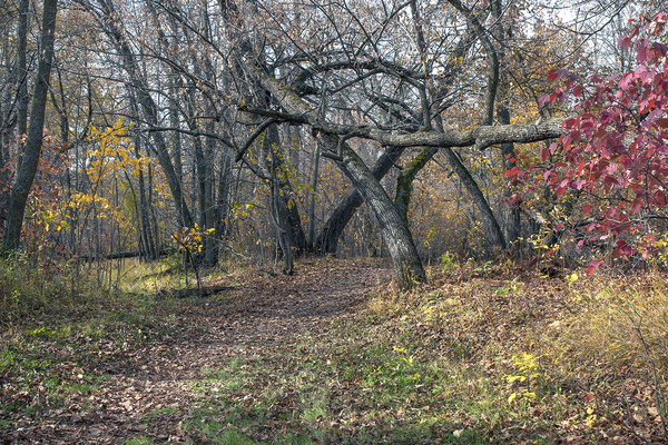 Beaudry Park 10