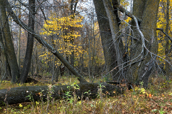 Beaudry Park 12