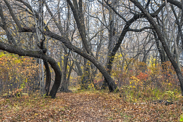 Beaudry Park 14