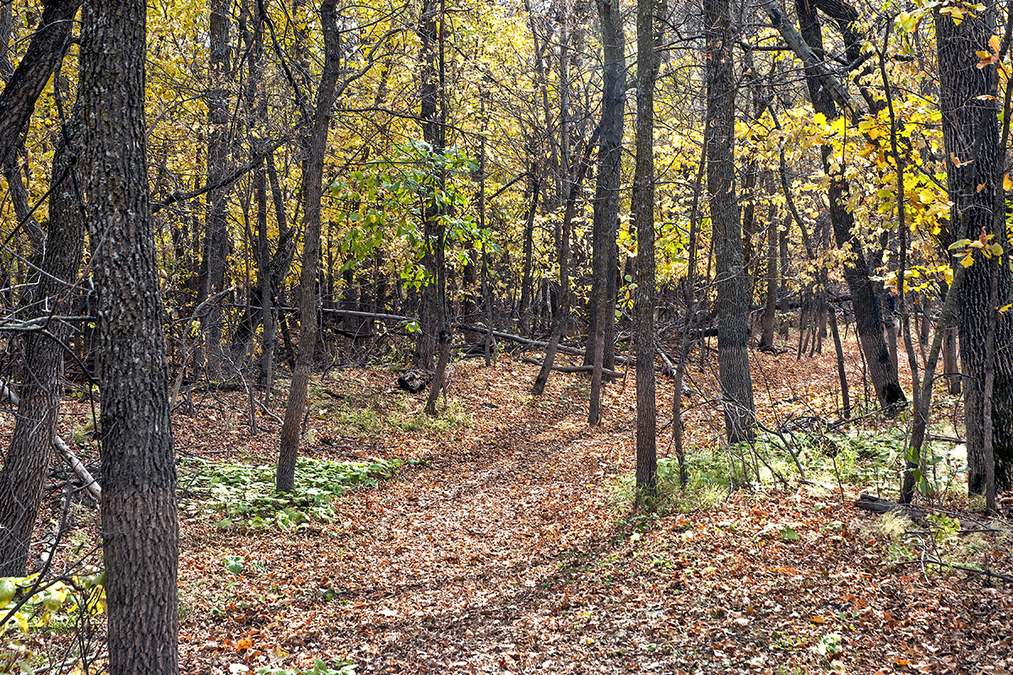 Beaudry Park 17
