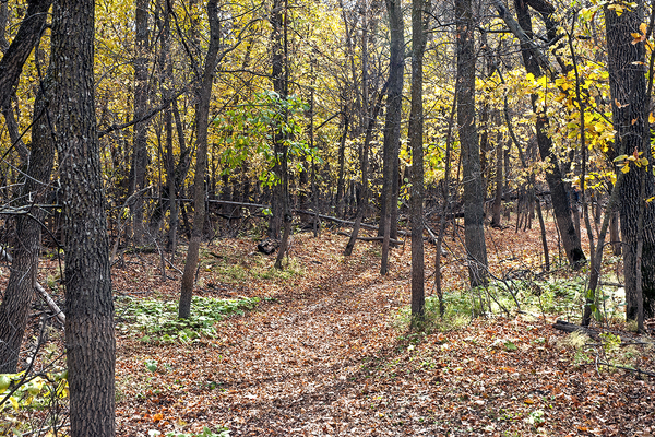 Beaudry Park 17