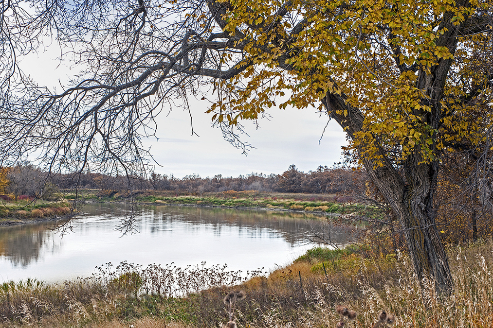 Beaudry Park 19