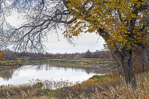 Beaudry Park 19