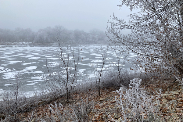December Fog