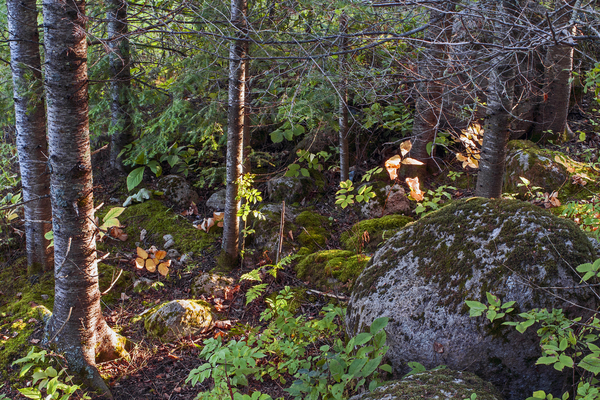 Dorothy Lake 2