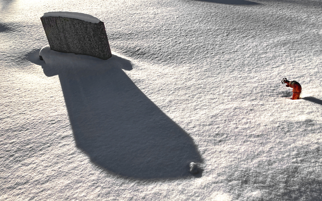 Elmwood Cemetery 4