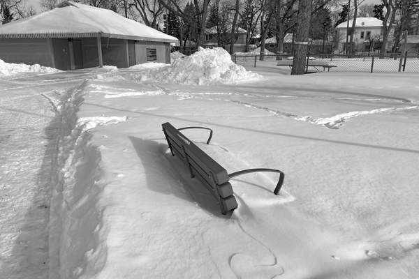 Elmwood (Roxy) Park 2