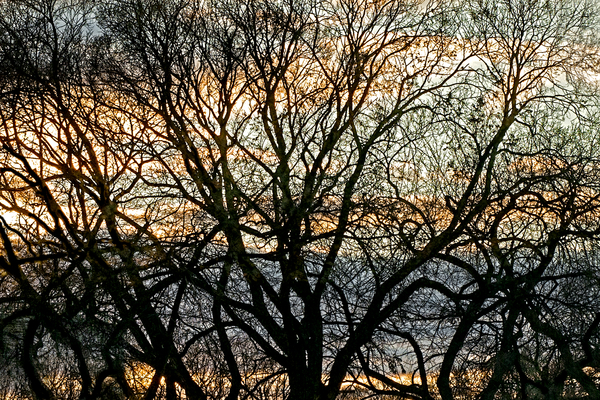 Glenelm Sunset