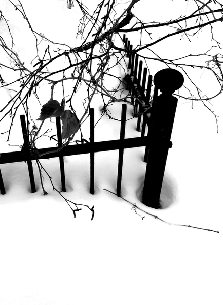 Iron & Snow I