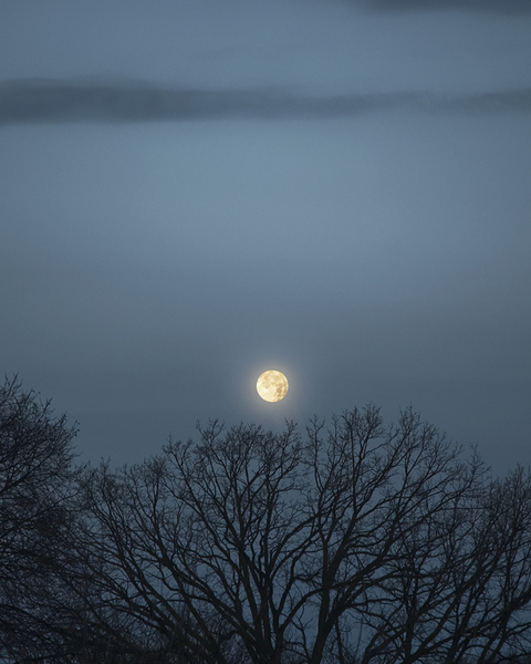 Moon Over Glenelm